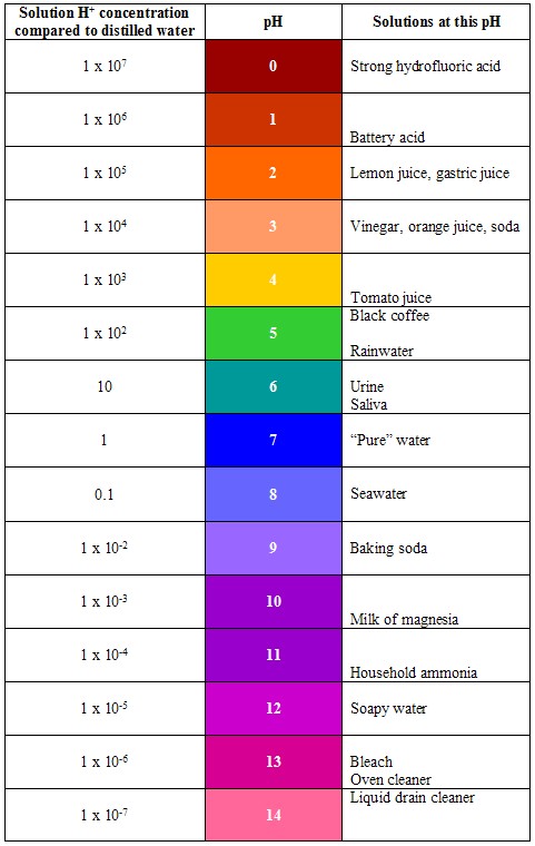 ph level of examples and their bases
